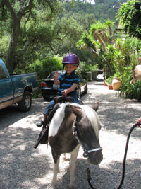 HosieRide!