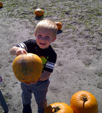 Pumpkin
