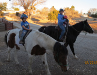 horsies