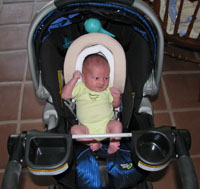 Carseat
