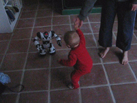 Doing the Robot